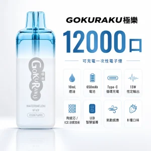 GOKURAKU 極樂 一次性電子煙｜12000口 8種口味｜13W恆定輸出 ICE冰感 智慧螢幕顯示