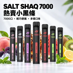 鯊克 SALT SHAQ 小黑條 一次性電子煙｜約7000口 19種口味選擇